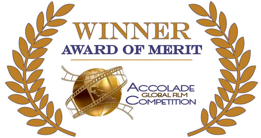 WPAccolade-Merit-Logo-Color-1024x542.png