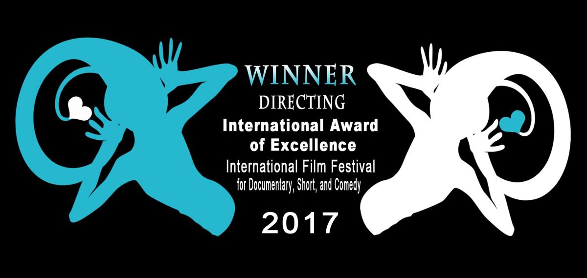IFFDSC_Award_of_Excellence_directing_2017_preview.jpeg